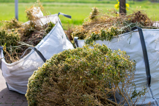 Best Recycling Services for Junk  in , VA